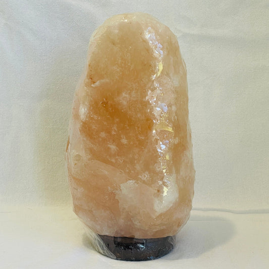 Salt Lamp #1 4.68kg